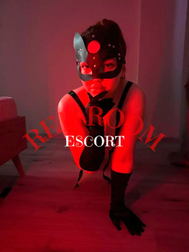 Эскортница Варвара - грудь 2.5, рост 166 см, вес 166 кг, цвет волос Брюнетки, этничность Европейская