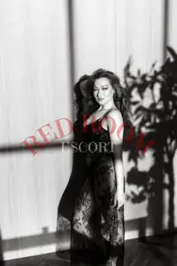 Эскортница София - грудь 2, рост 161 см, вес 63 кг, цвет волос Рыжые, этничность Азиатская