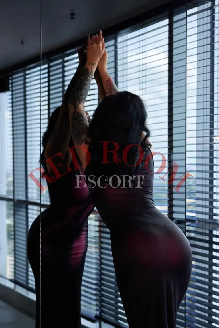 Эскортница Эльвира - грудь 3, рост 174 см, вес 59 кг, цвет волос Брюнетки, этничность Европейская