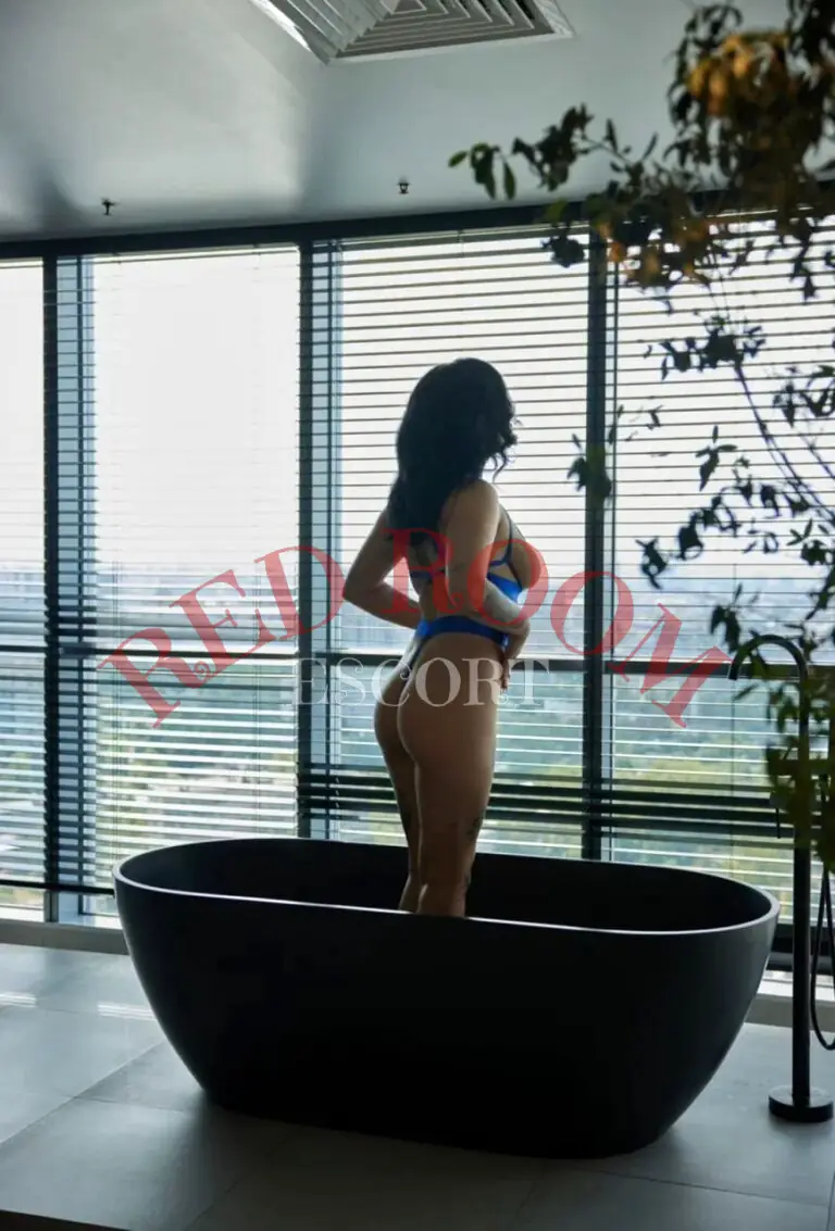 Эскортница Эльвира - грудь 3, рост 174 см, вес 59 кг, цвет волос Брюнетки, этничность Европейская