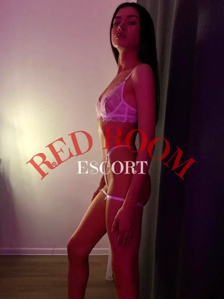 Эскортница Адель - грудь 1, рост 160 см, вес 42 кг, цвет волос Брюнетки, этничность Европейская