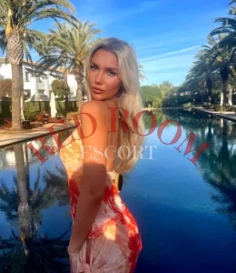 Эскортница Варвара - грудь 3, рост 172 см, вес 60 кг, цвет волос Русые, этничность Европейская