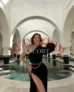 Эскортница Соня - грудь 3, рост 163 см, вес 49 кг, цвет волос Брюнетки, этничность Европейская