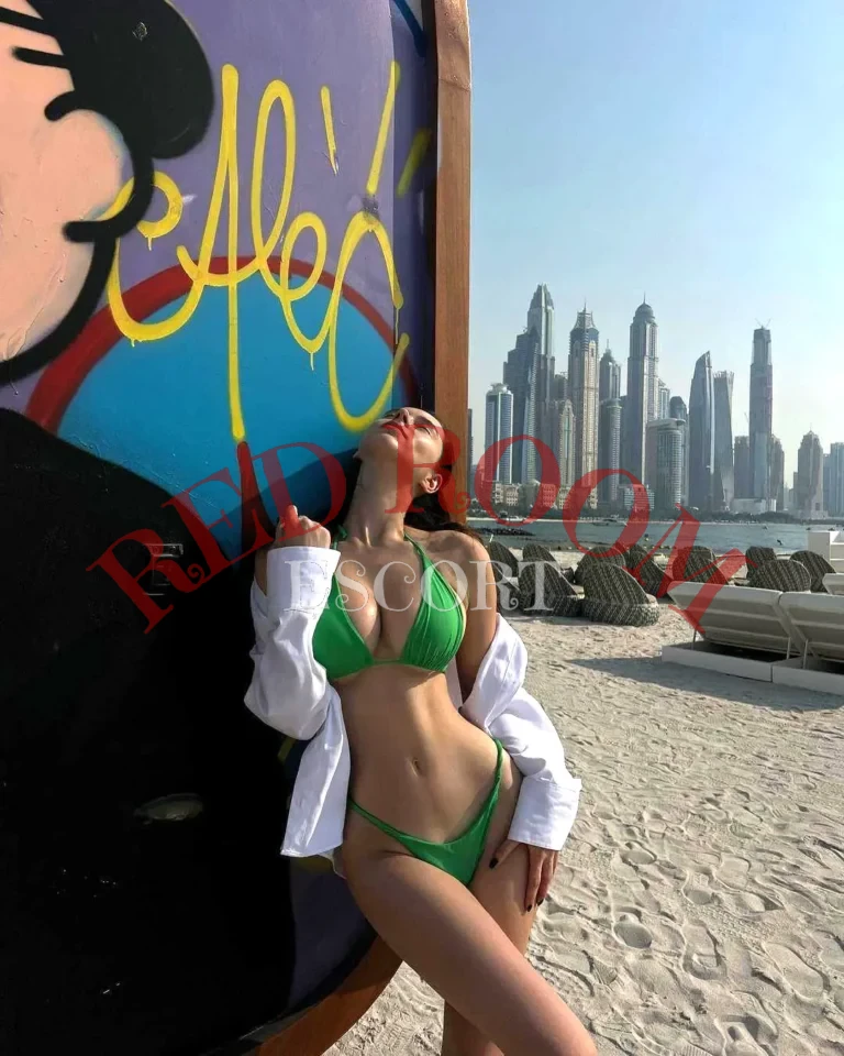 Эскортница Соня - грудь 3, рост 163 см, вес 49 кг, цвет волос Брюнетки, этничность Европейская