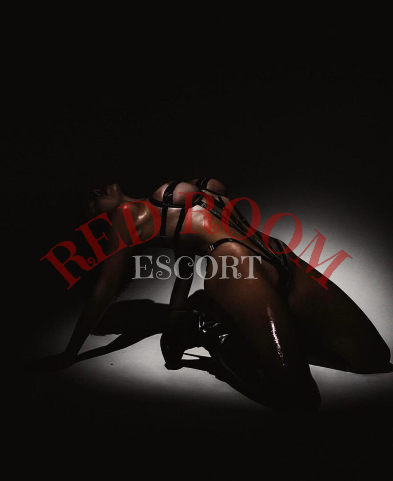 Эскортница Ламби  - грудь 3, рост 170 см, вес 50 кг, цвет волос Русые, этничность Арабская