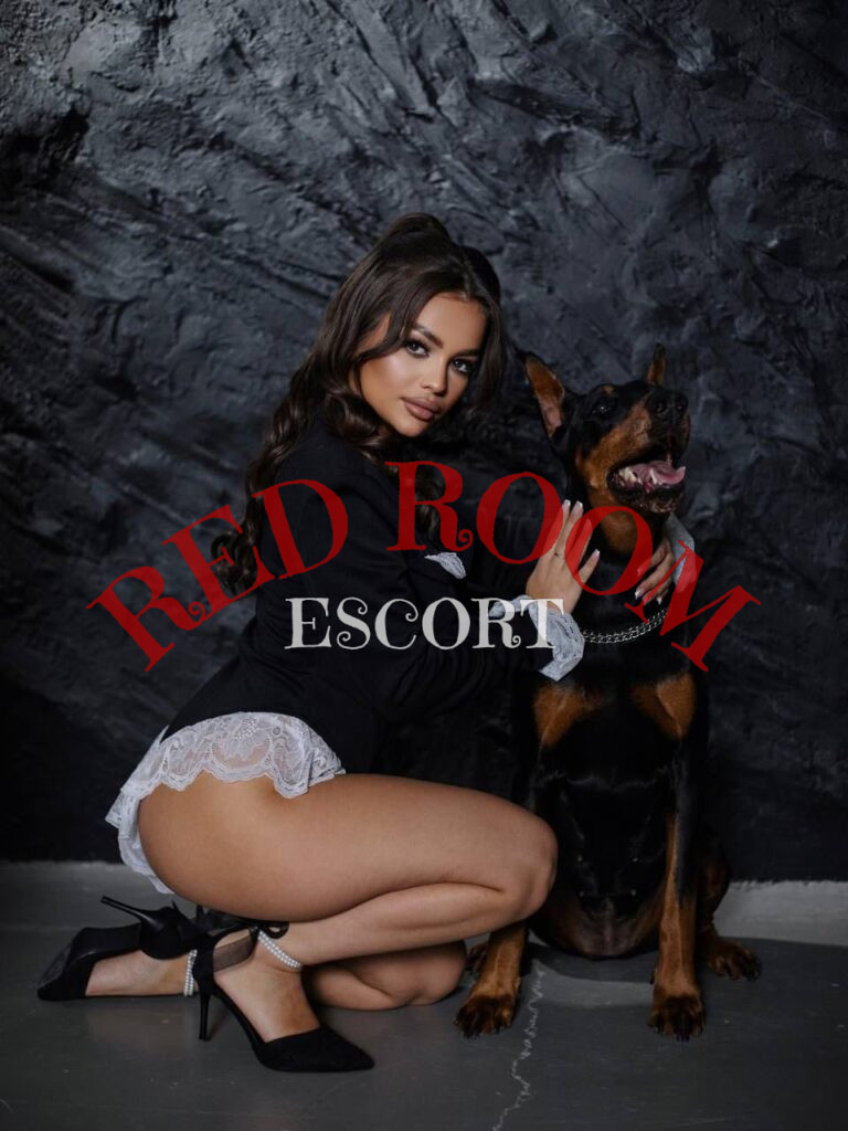 Эскортница Амина - грудь 3, рост 156 см, вес 50 кг, цвет волос Брюнетки, этничность Арабская