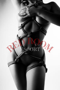 Эскортница Амина - грудь 3, рост 156 см, вес 50 кг, цвет волос Брюнетки, этничность Арабская