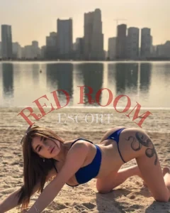 Эскортница Алиса - грудь 3, рост 163 см, вес 53 кг, цвет волос Шатенки