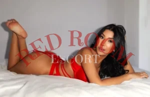 Эскортница Мел - грудь 3, рост 165 см, вес 61 кг, цвет волос Шатенки